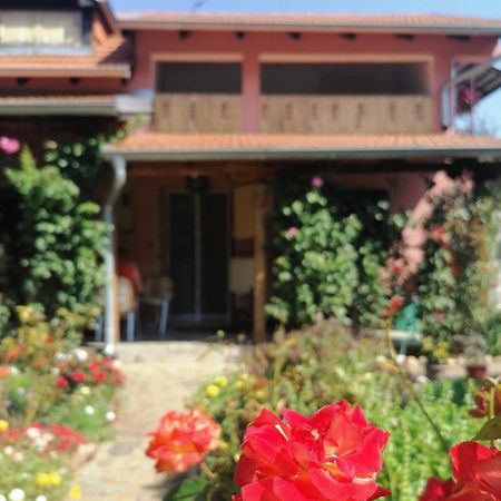 Apartman Mika 索科矿泉村 外观 照片