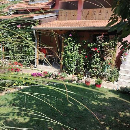 Apartman Mika 索科矿泉村 外观 照片