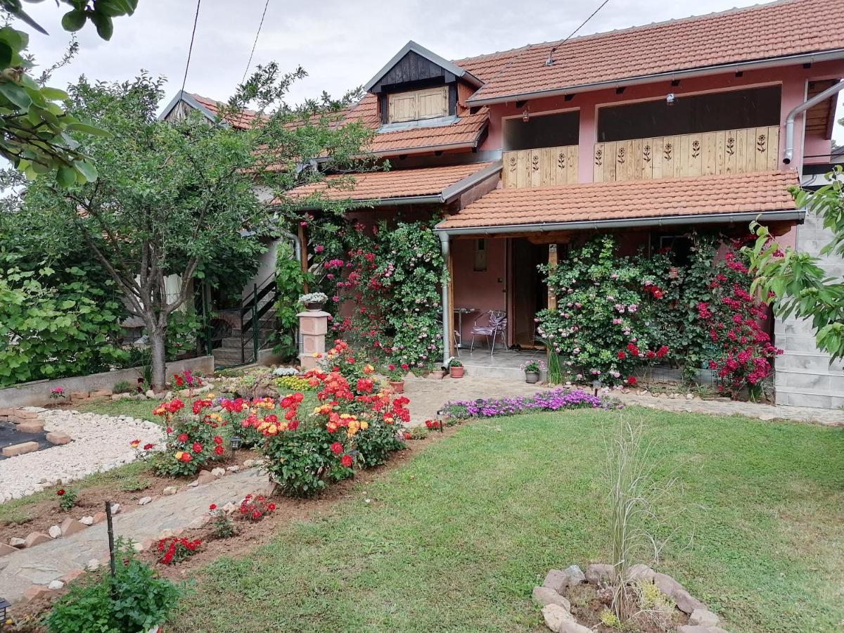 Apartman Mika 索科矿泉村 外观 照片